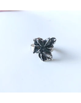 anillo SEMILLA 