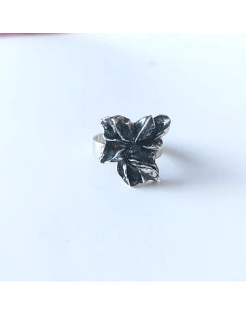anillo SEMILLA 