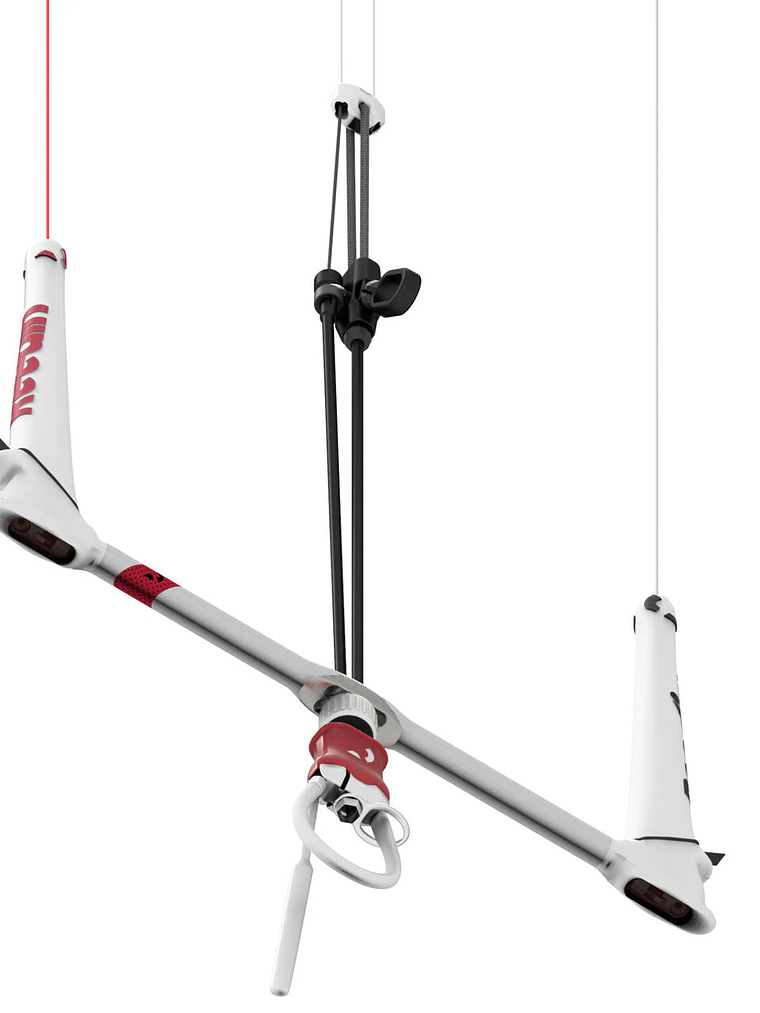 REEDIN DREAMSTICK  1