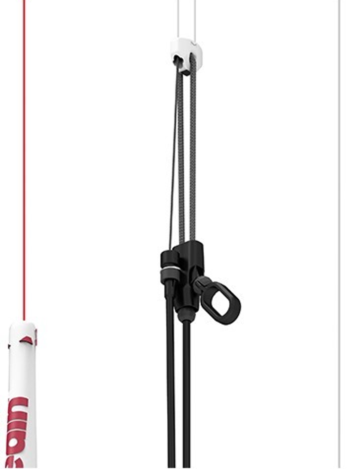 REEDIN DREAMSTICK  4