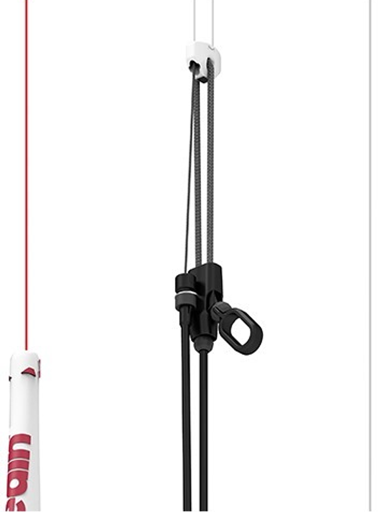 REEDIN DREAMSTICK  4