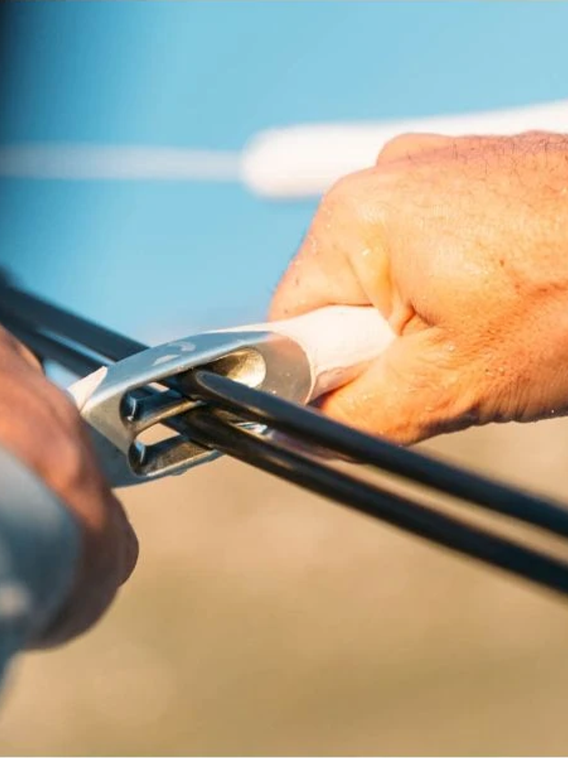 REEDIN DREAMSTICK  6