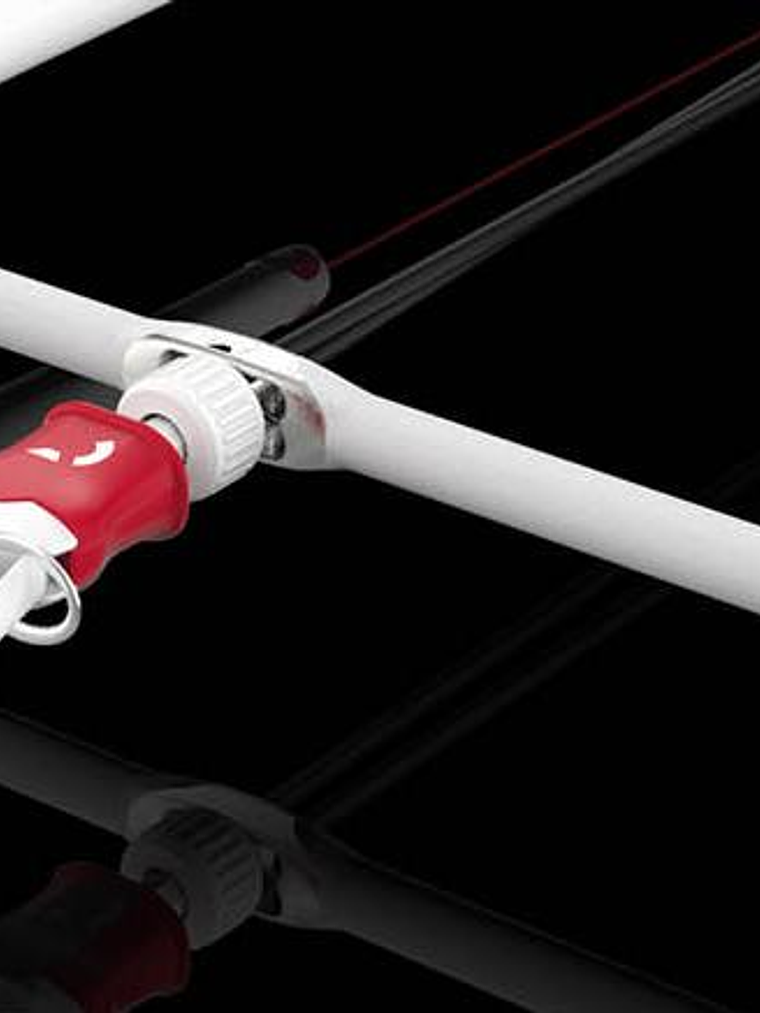 REEDIN DREAMSTICK  10