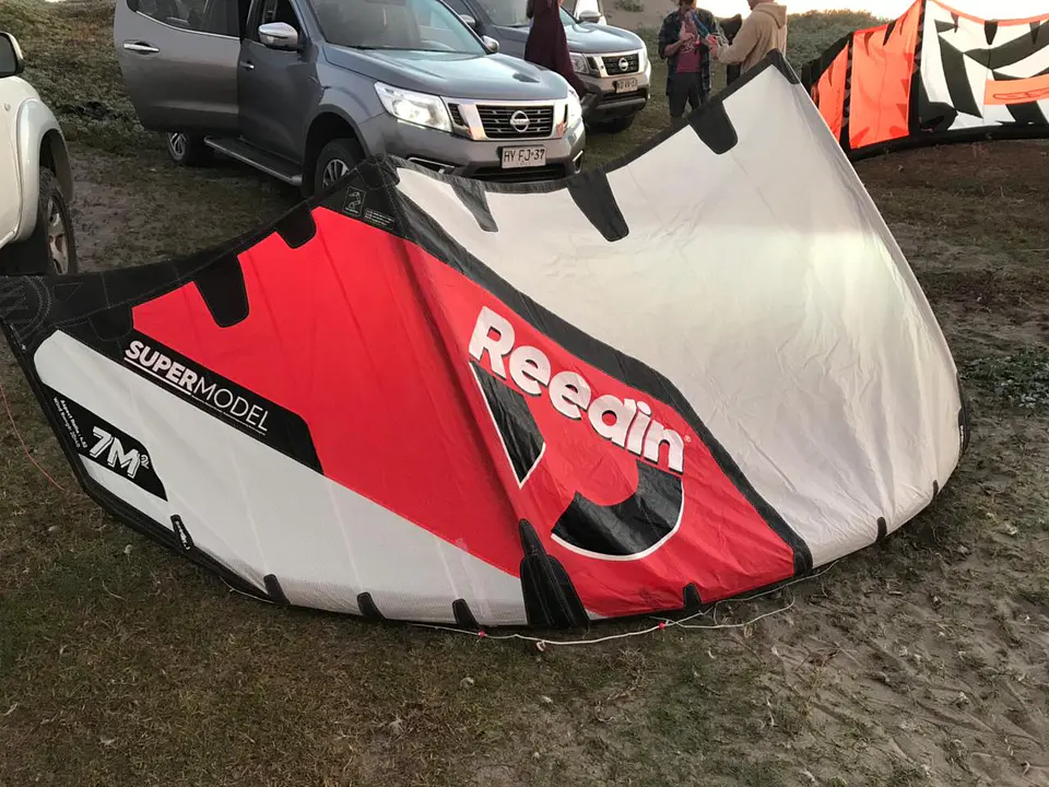 Reedin 7m 2020 4