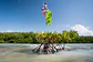 CRAZYFLY Raptor - Miniatura 7