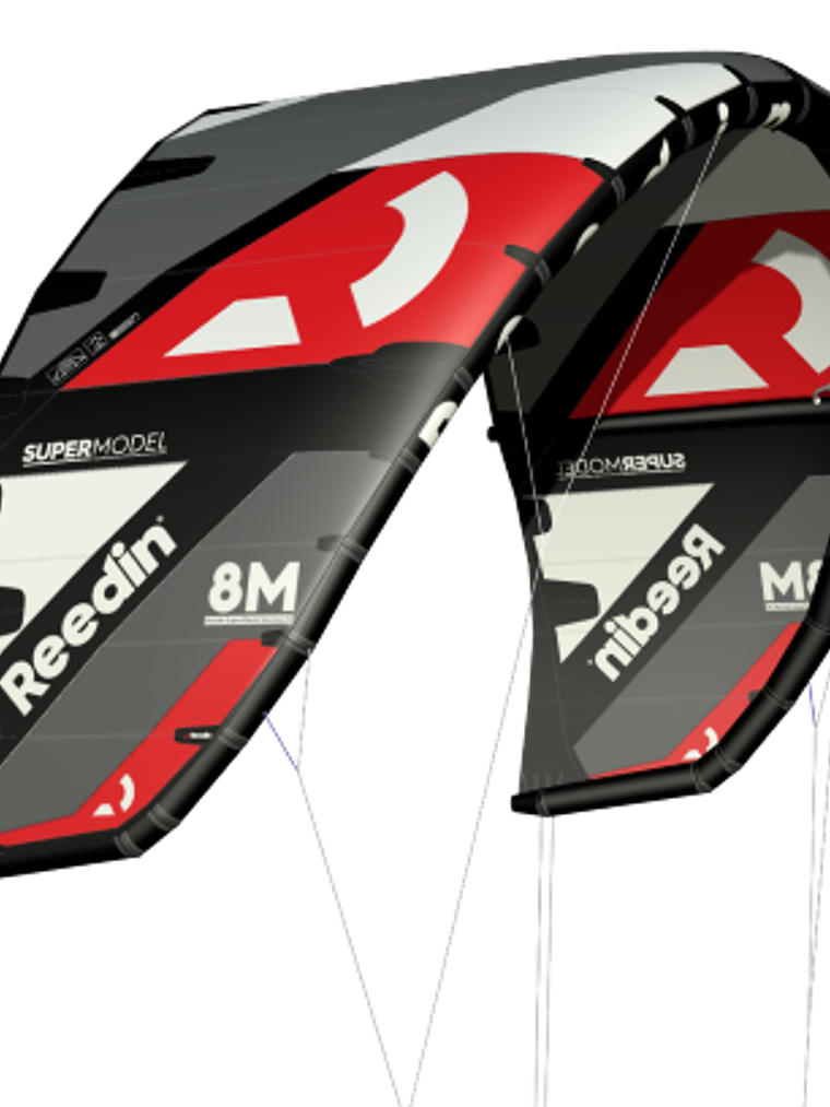 REEDIN SuperModel V2 1