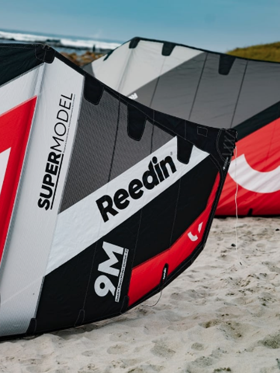 REEDIN SuperModel V2 3