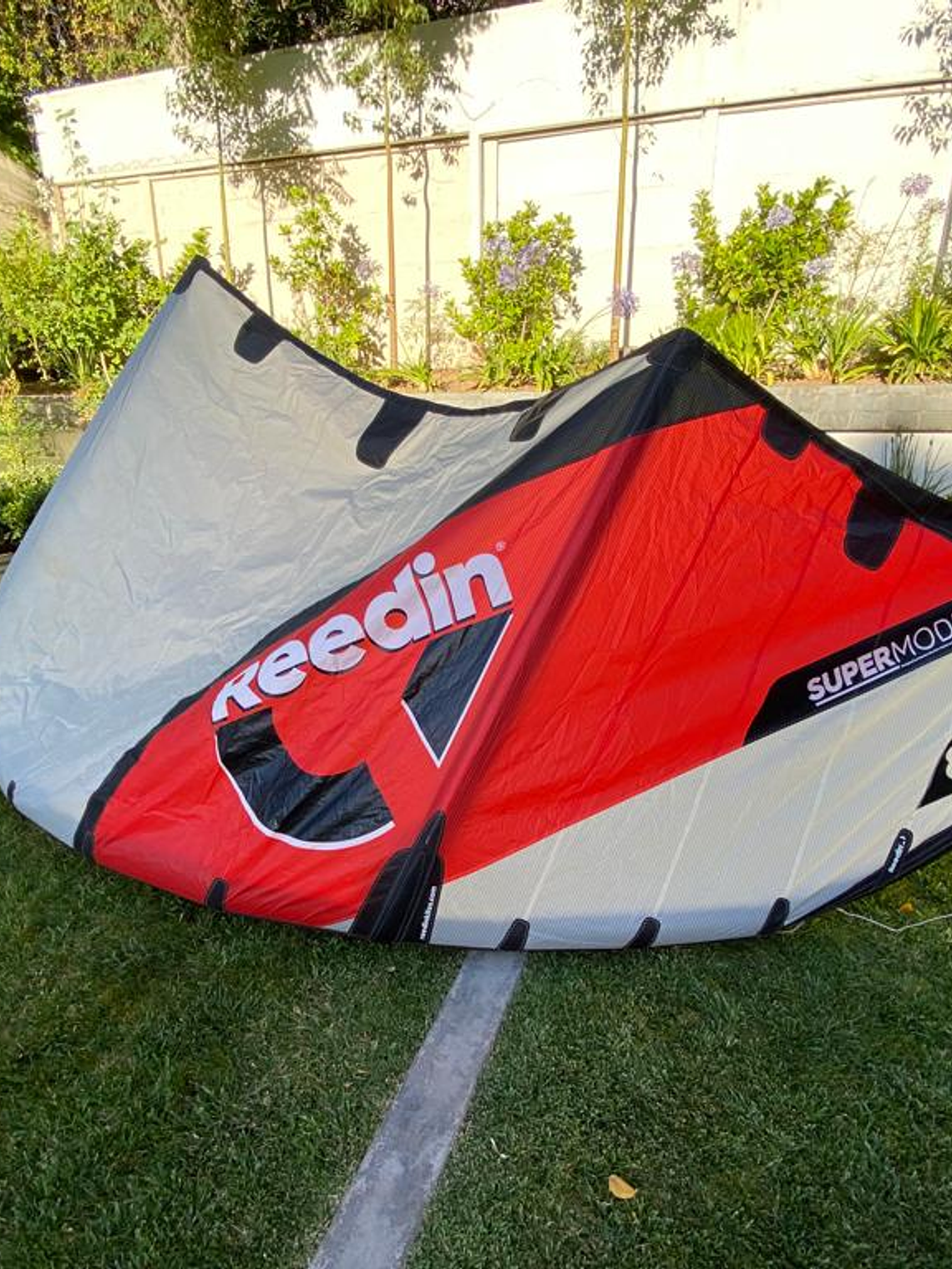 Reedin SuperModel 8m  <BR> VENDIDO 3