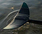 North Foil Sonar Edition + Ala delantera <br> (A PEDIDO) - thumbnail 2