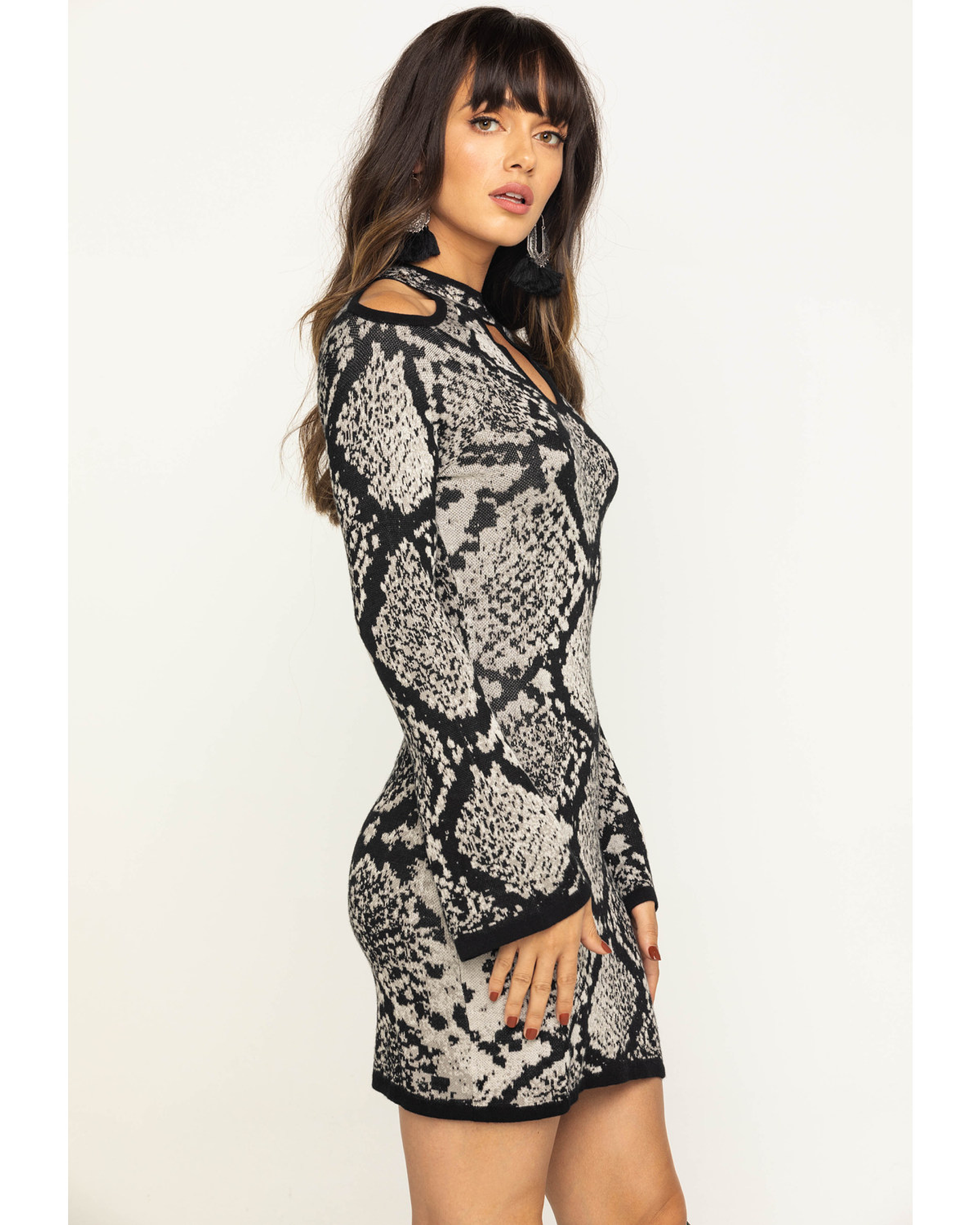 Shyanne Women's Snake Print Jacquard Dress  3