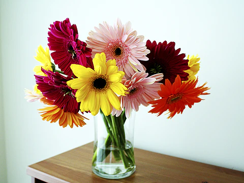 Variety of flowers