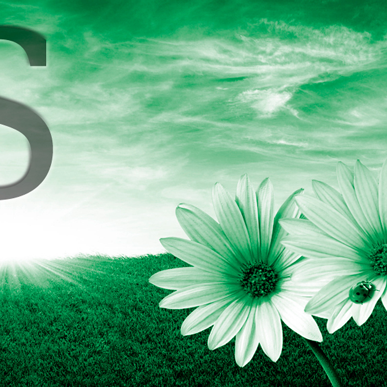 White flowers (color & sizes) 9