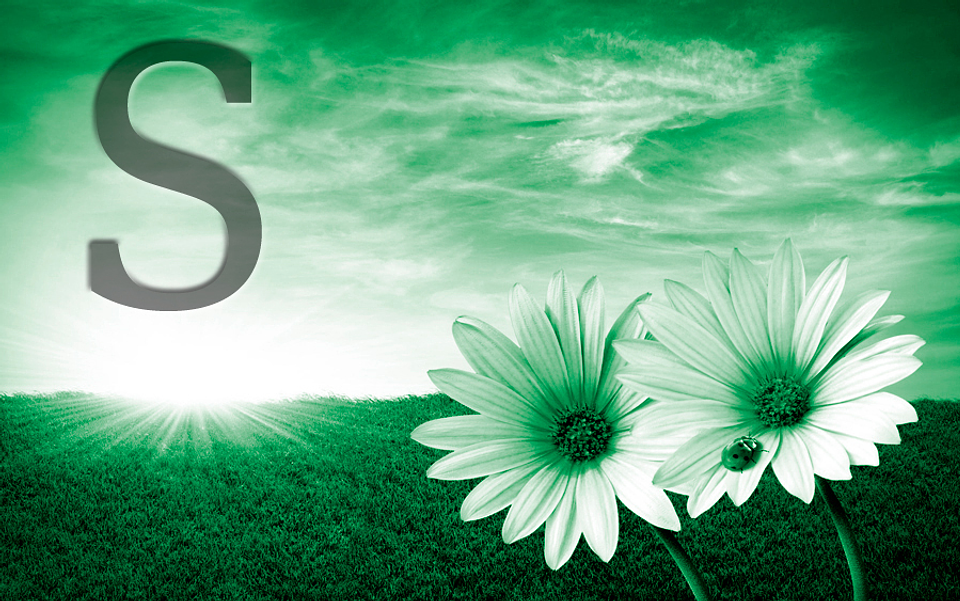 White flowers (color & sizes) 9