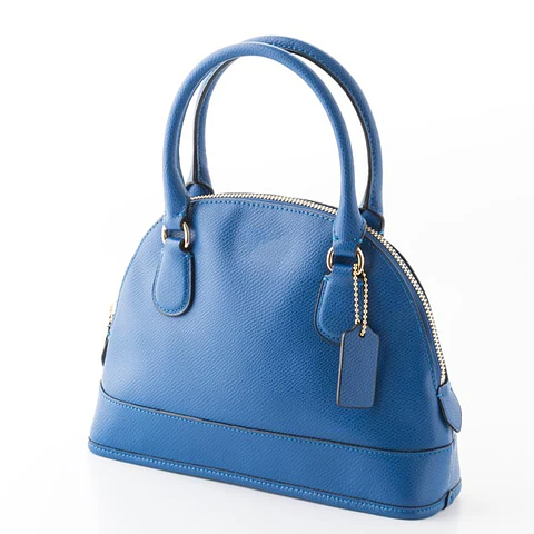 Blue purse