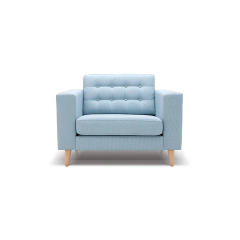 Blue Coach