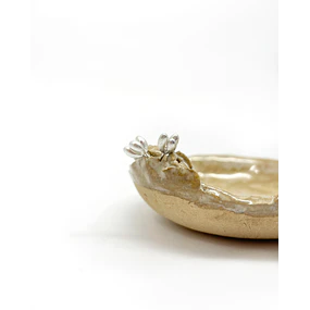Aros Brote 