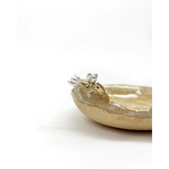 Aros Brote 