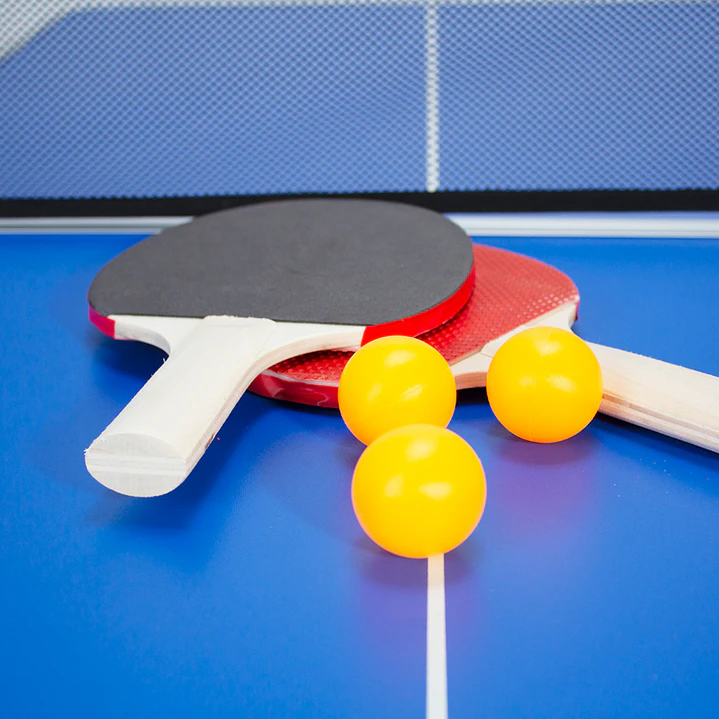 Mesa de Mini Ping-Pong plegable 5