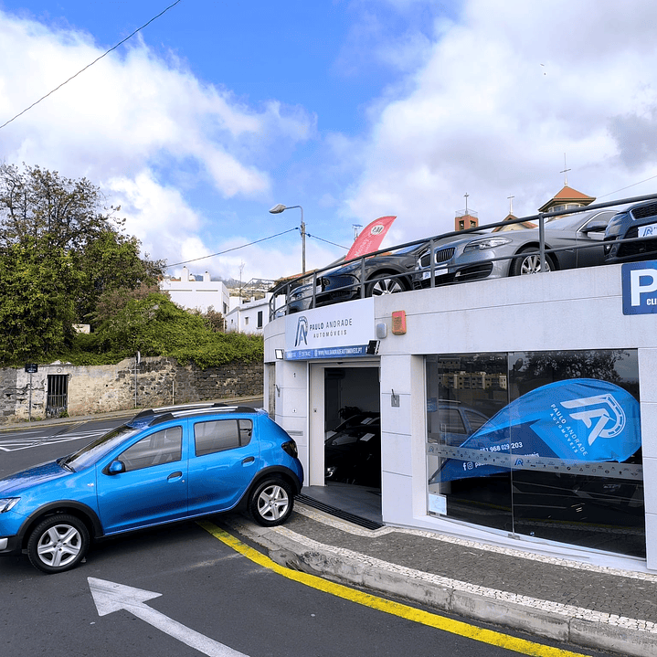 DACIA SANDERO STEPWAY DCI 4