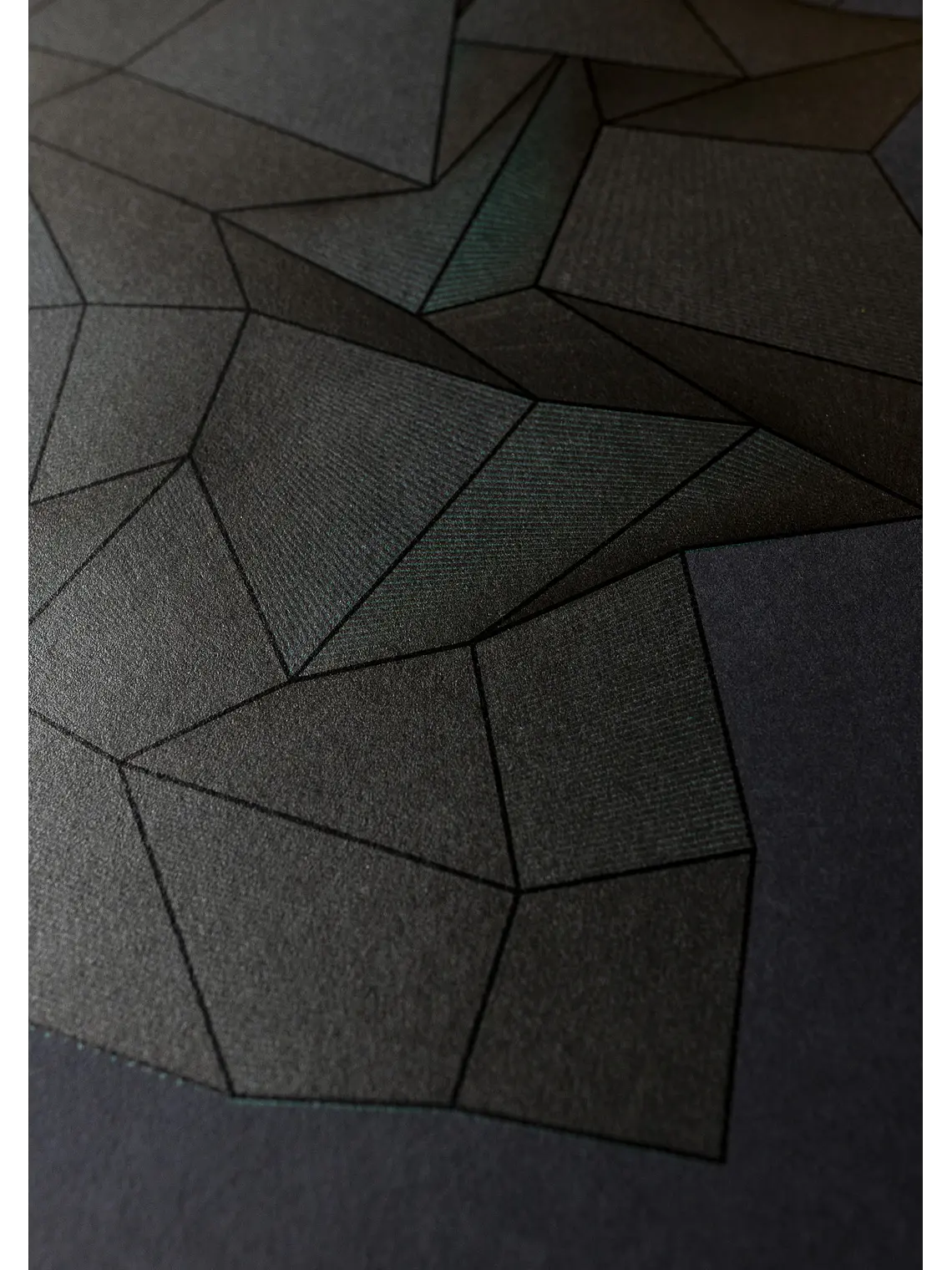 FOLD3D VAR0S 14 10