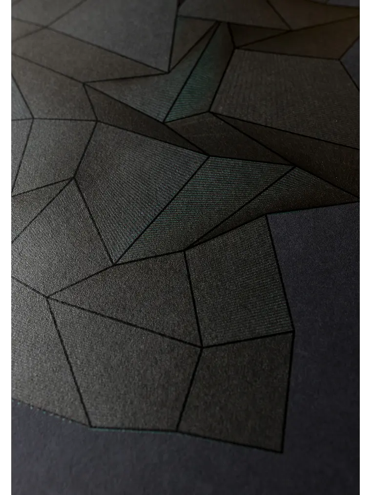 FOLD3D VAR0S 14 10