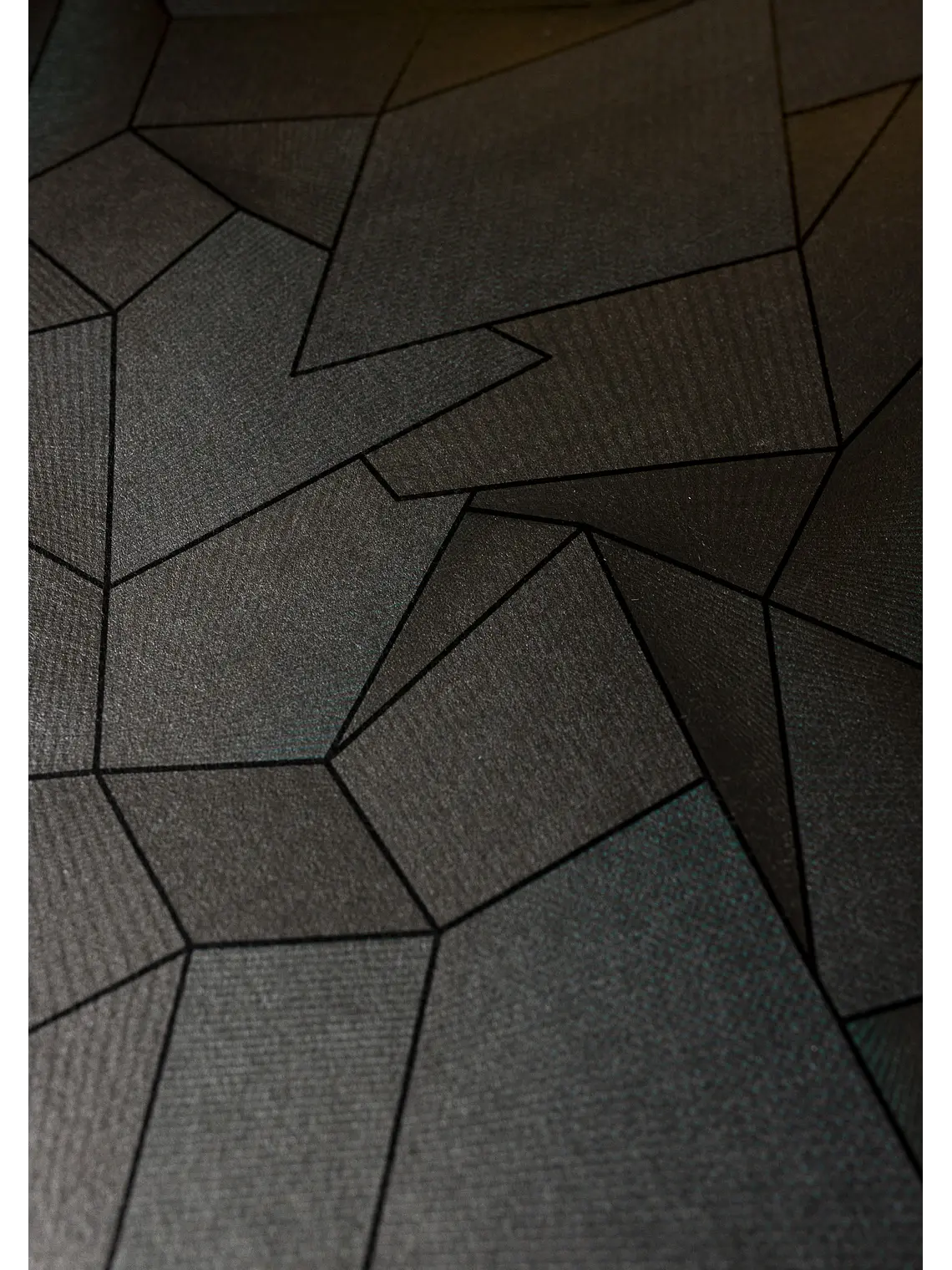 FOLD3D VAR0S 14 12
