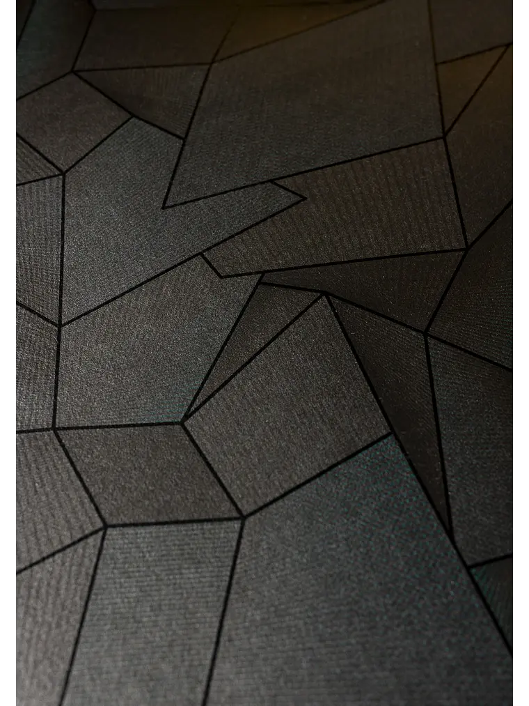 FOLD3D VAR0S 14 12