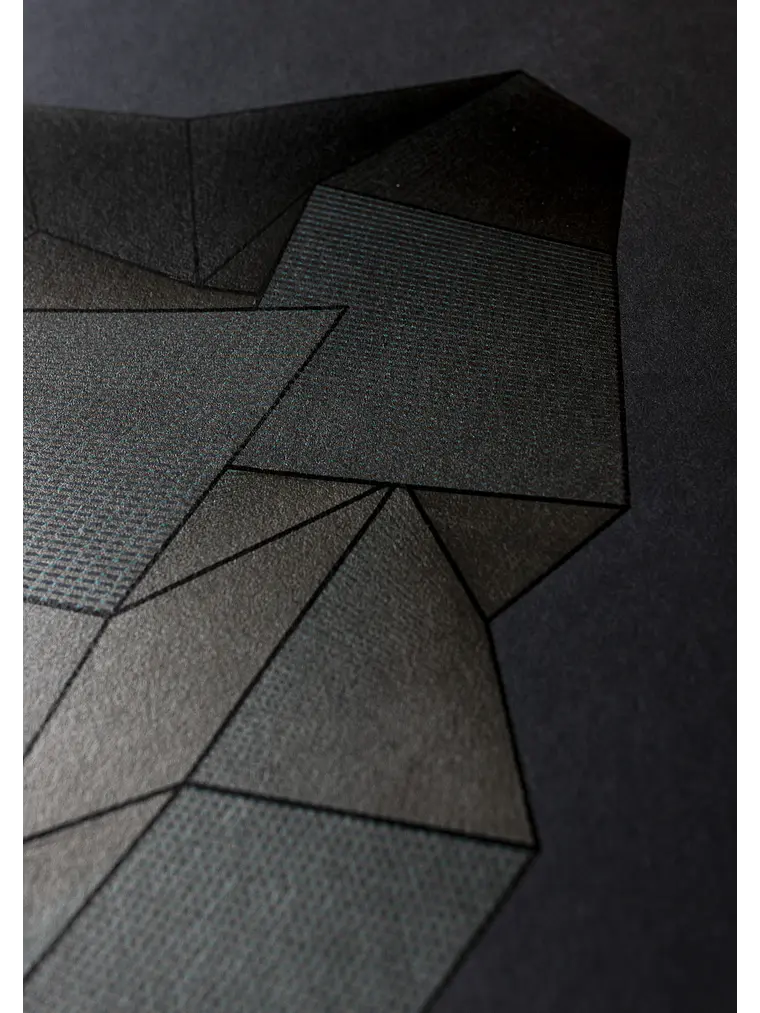 FOLD3D VAR0S 14 9