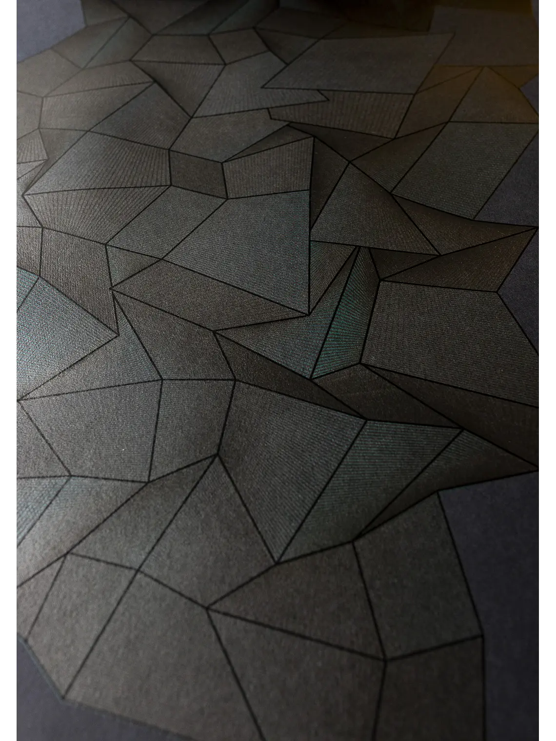 FOLD3D VAR0S 14 5