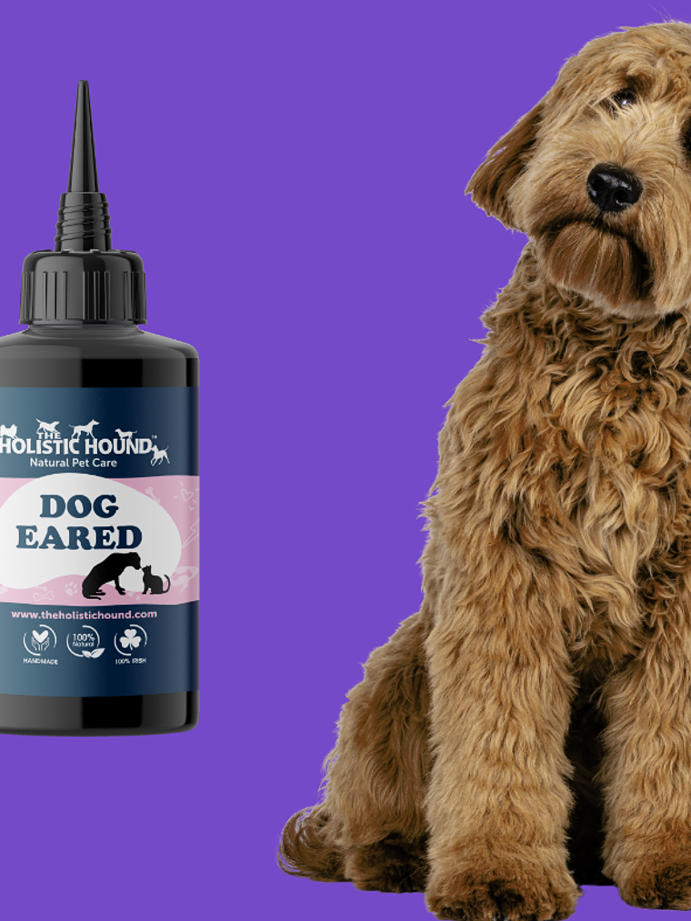 Limpiador de orejas para perros - Dog Eared 50 ml 1