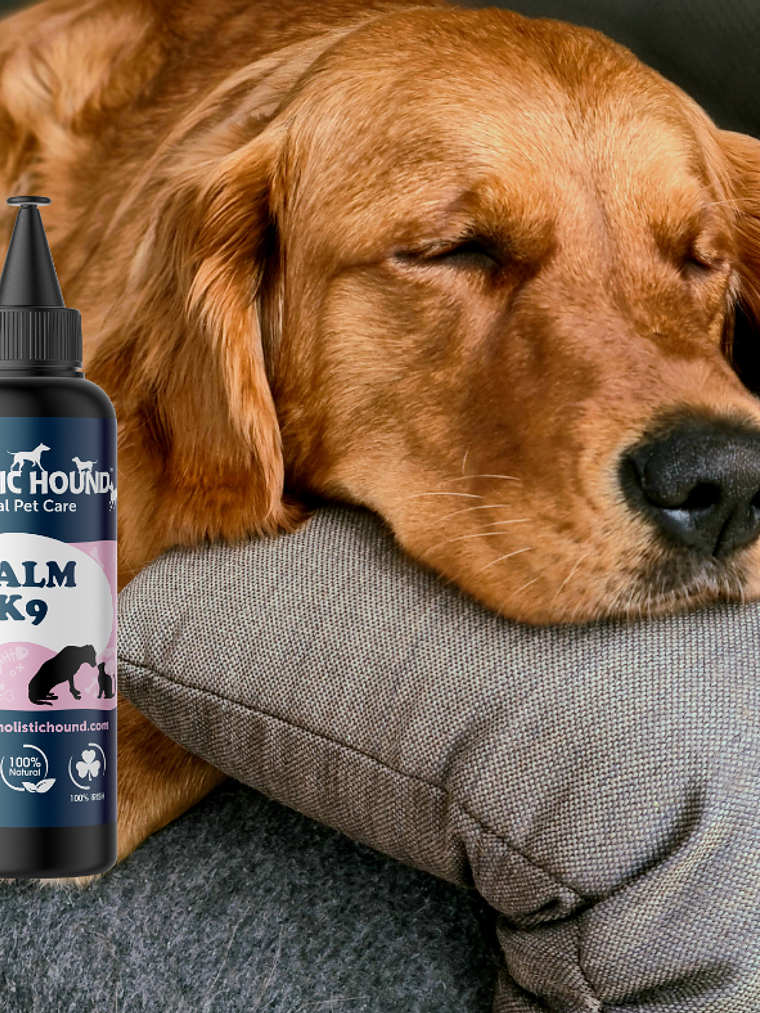 Aceite relajante para perros - Aceite de lino: Calm K9 500 ml 1