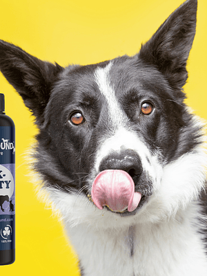 Aceite para el dolor articular en perros - Aceite de linaza: Flaxability 500 ml