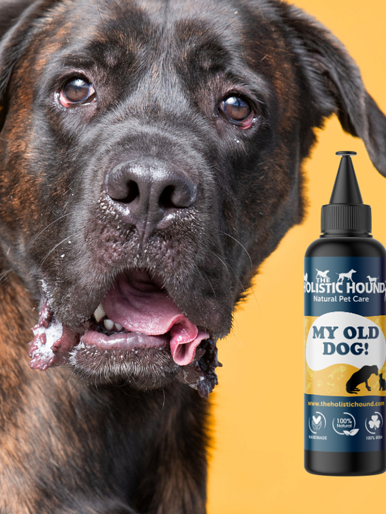 Aceite de lino como suplemento para perros mayores: My Old Dog 500 ml 1
