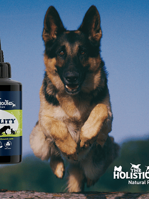 Mobility Drops for Dogs - Mobility 50 ml