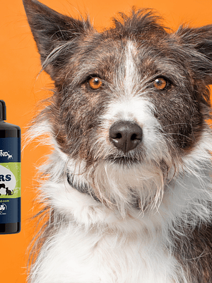 Senior Dog Supplement Drops - Seniors 50 ml