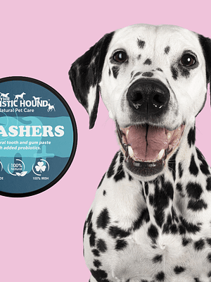 Dog Toothpaste - Gnashers 50 ml