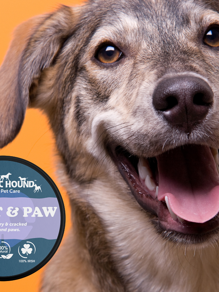 Crema bálsamo protectora para perros - Snout & Pay 40 ml 1