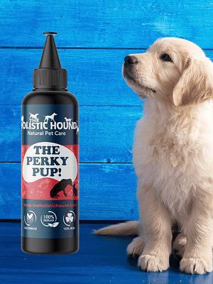 Fish Oil for Dogs - The Perky Pup 500 ml