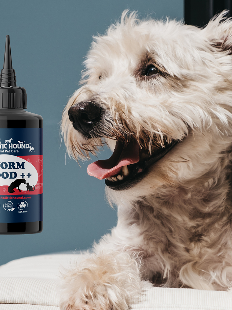 Suplemento para perros en gotas - Ajenjo ++ 50 ml 1