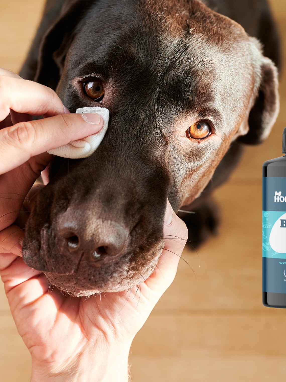 Limpiador ocular para perros – Bright Eyes 50 ml 1