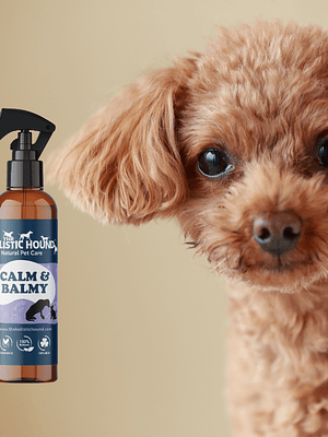 Spray relajante para perros - Calm & Balmy 100 ml