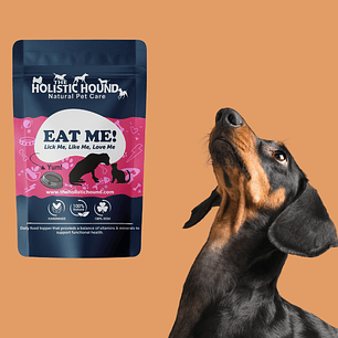 Paw Verde – Holistic Dog Wellness & Concierge Services