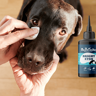 Paw Verde – Holistic Dog Wellness & Concierge Services