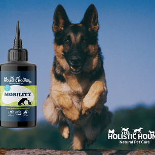 Paw Verde – Holistic Dog Wellness & Concierge Services