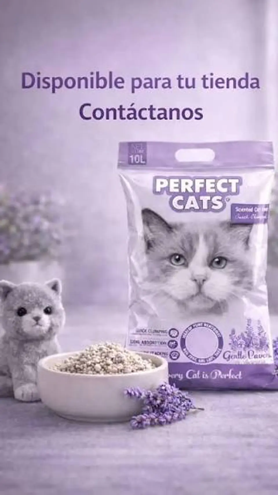 LAVANDA 1