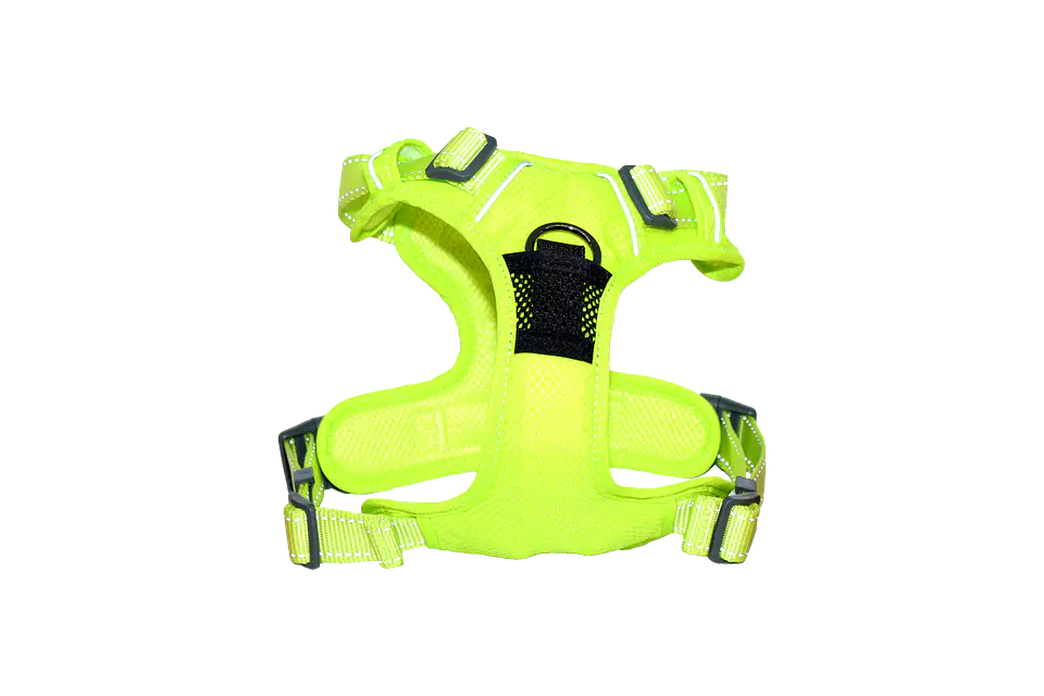 Arnés Deportivo de Control 6