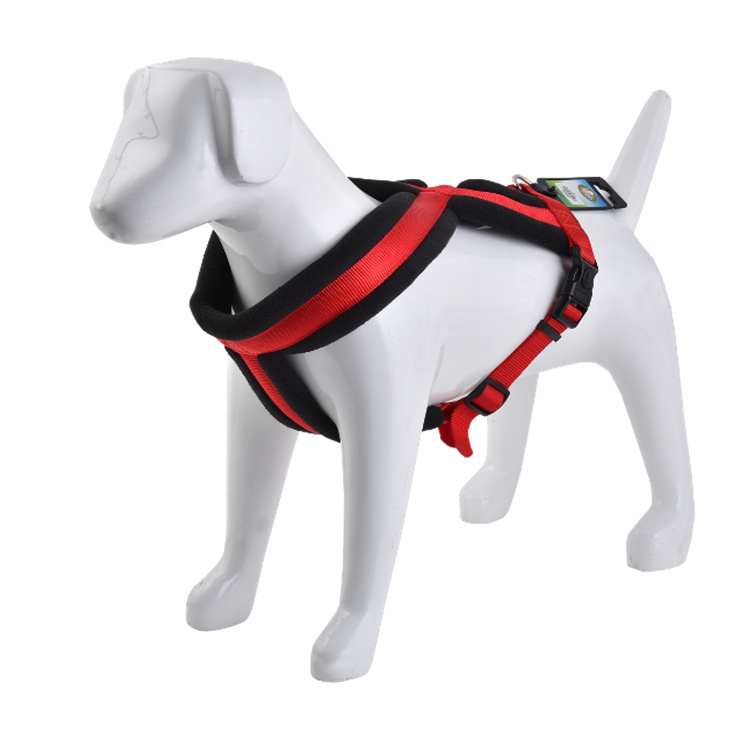 Arnés Cruzado Acolchado 5