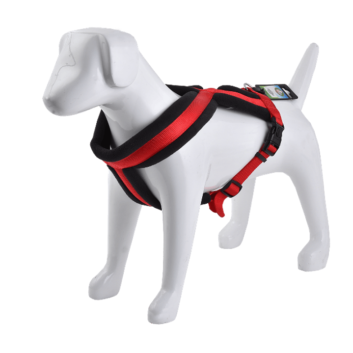 Arnés Cruzado Acolchado 5