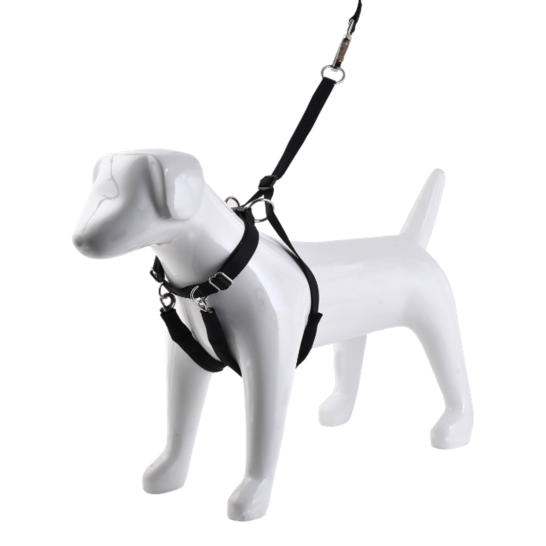 Arnés Anti-tirones 1