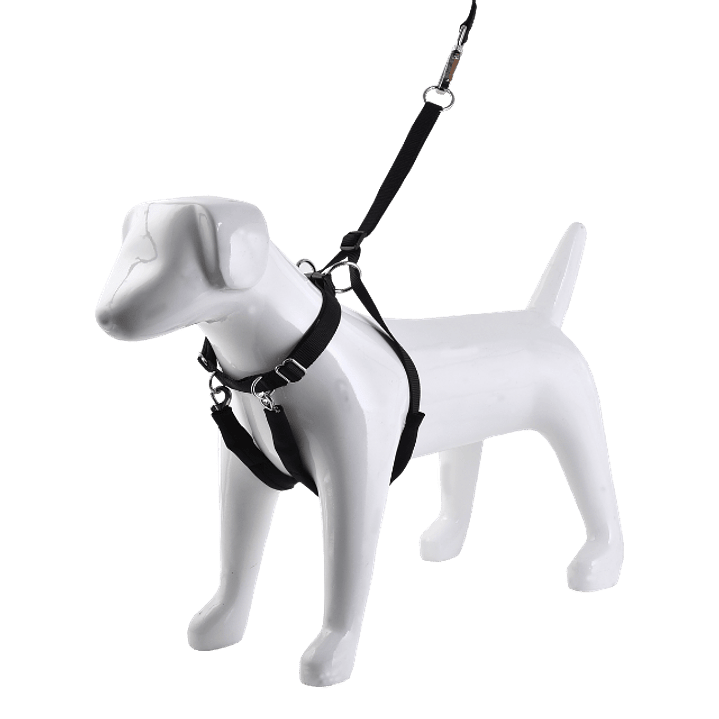 Arnés Anti-tirones 1